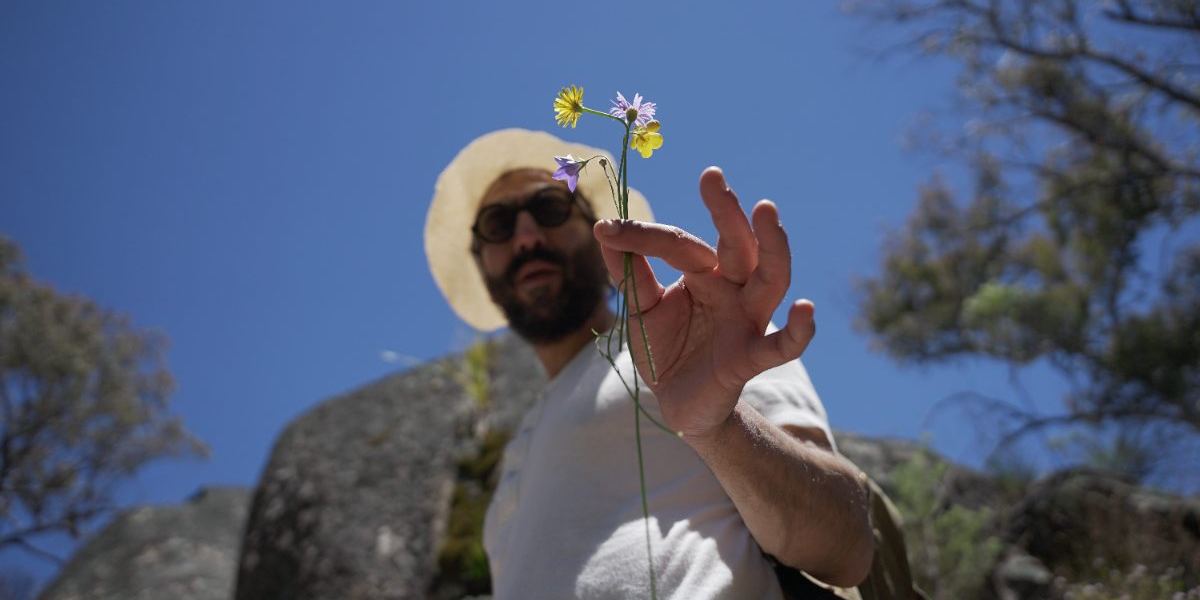 Nectar Efkarpidis holding a tiny wildflower up to the sun, granite country behind