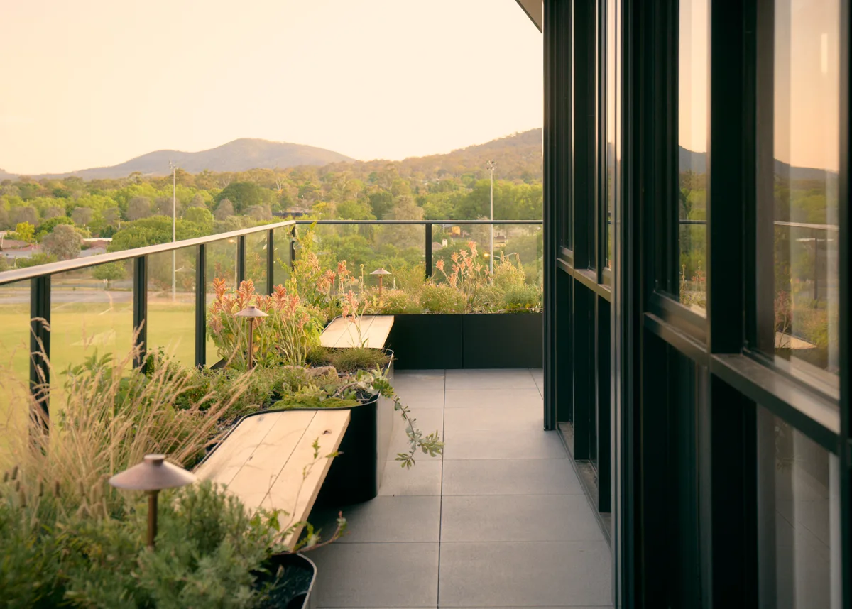 Planted terrace with mountain view at golden hour