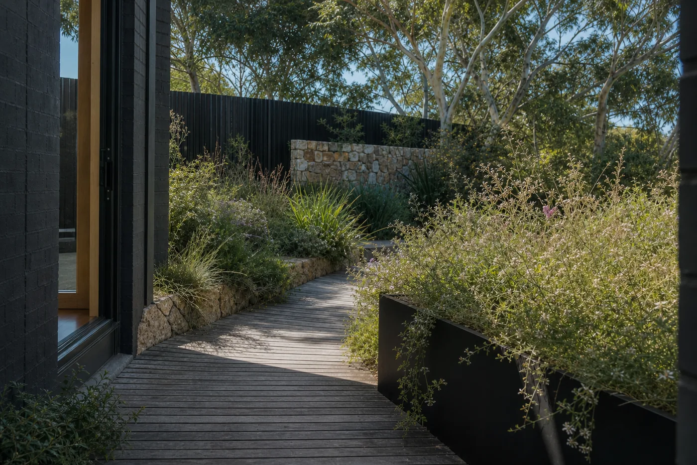 Established Canberra garden in daylight — timber boardwalk against black brick, dry-stone edging and dark steel planters full of flowering native shrubs