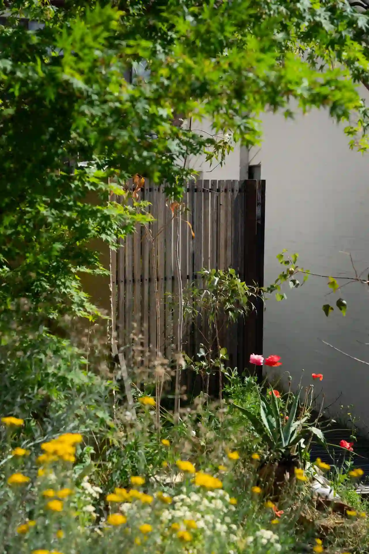 Underwood Courtyard — Belconnen, Canberra