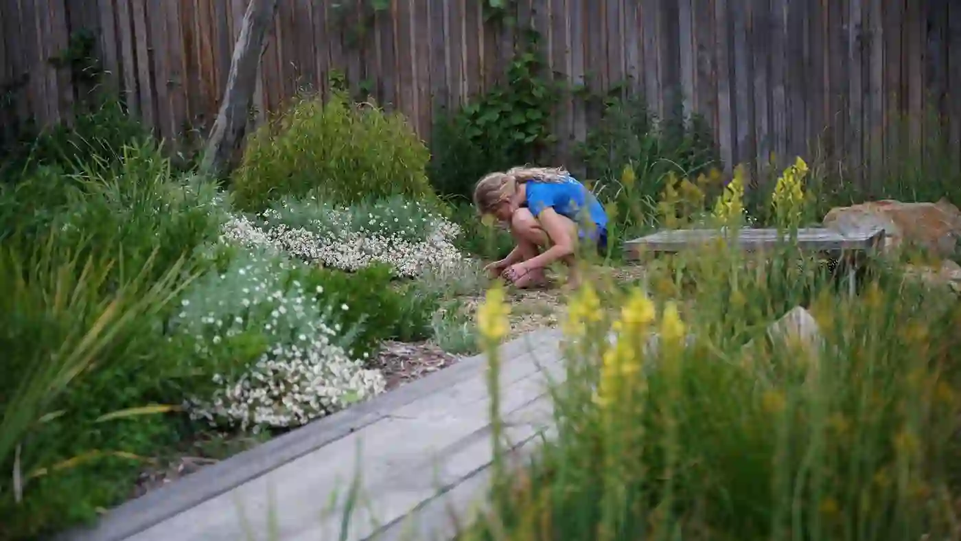 Wildflower Boardwalk