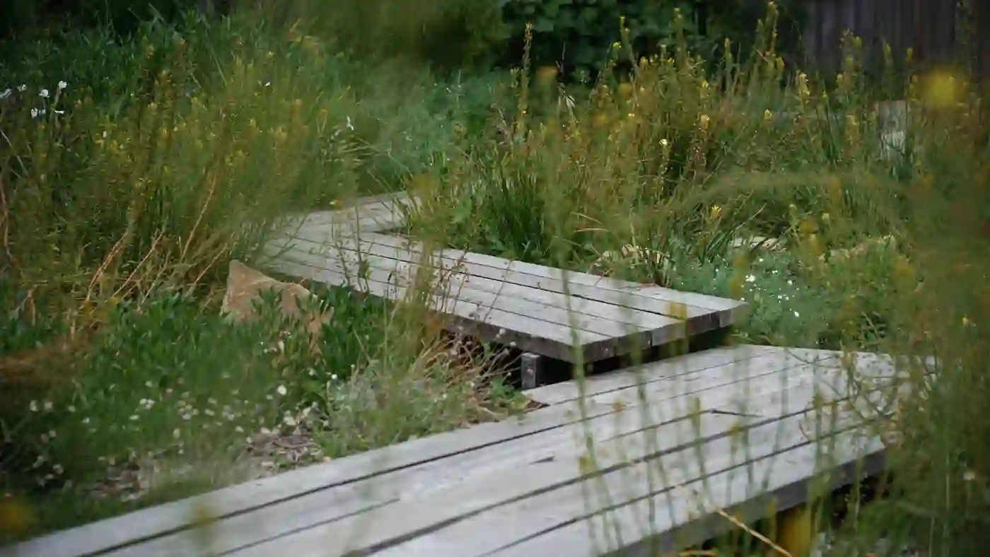 Wildflower Boardwalk — Forrest, Canberra