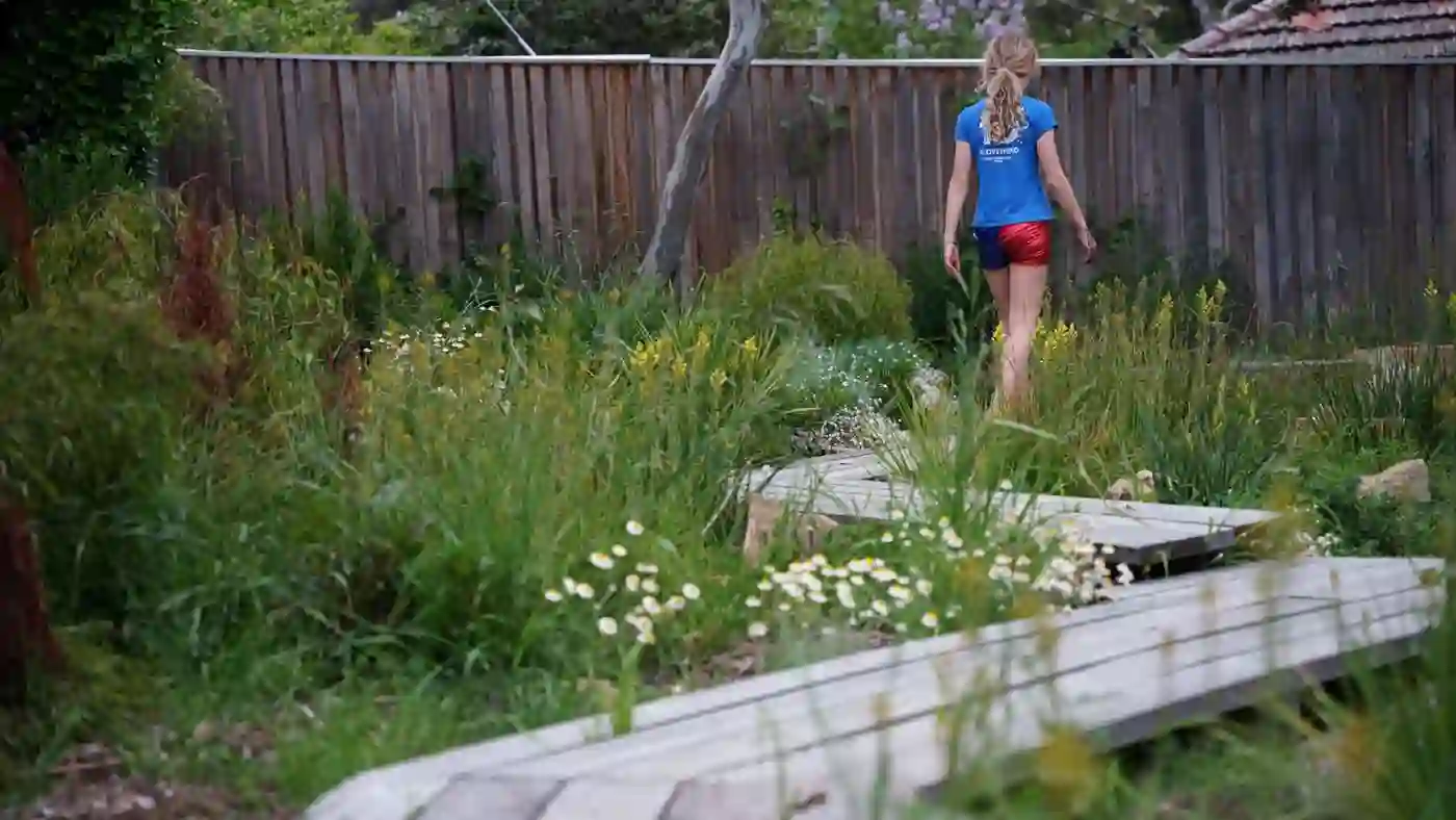 Wildflower Boardwalk — Forrest, Canberra